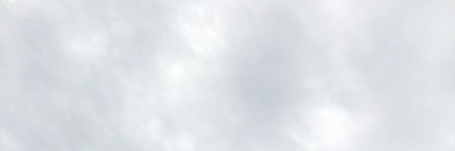 lucca ꕤ banner