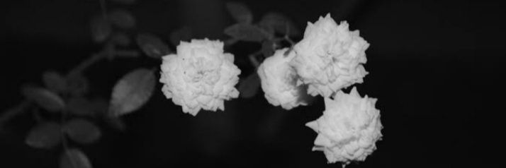 TLYSo시| banner