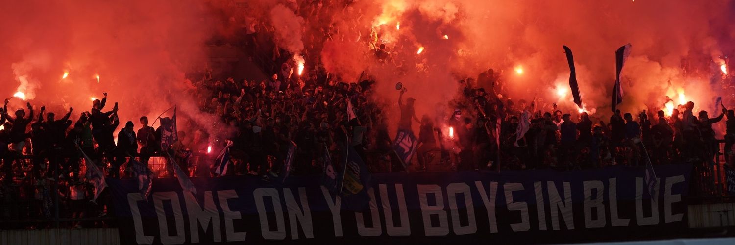 SдL banner