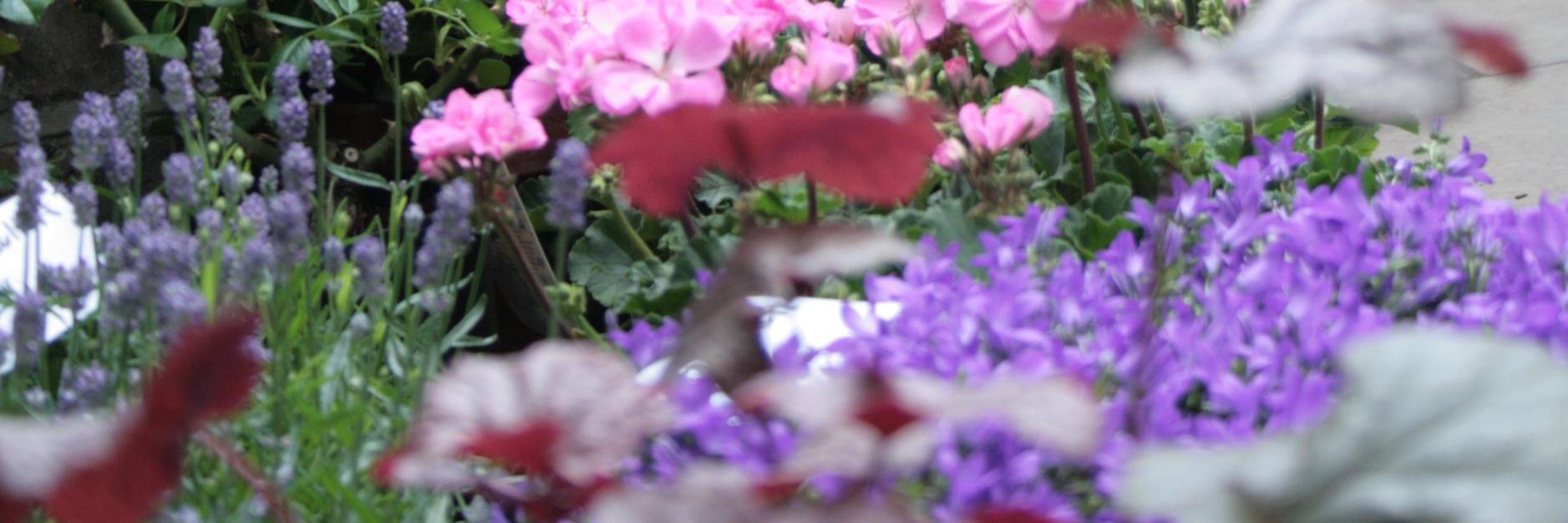 PilarPerrier's profile banner image