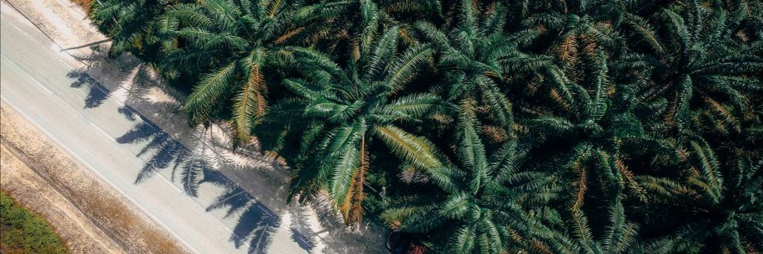 ah_medd1's profile banner image