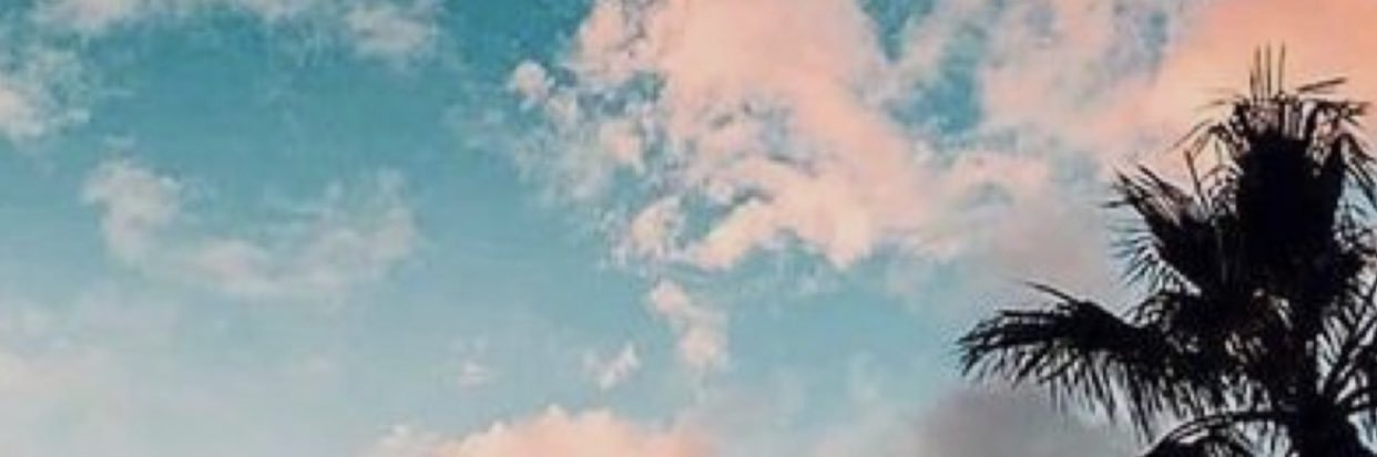 taylorbrown_13's profile banner image