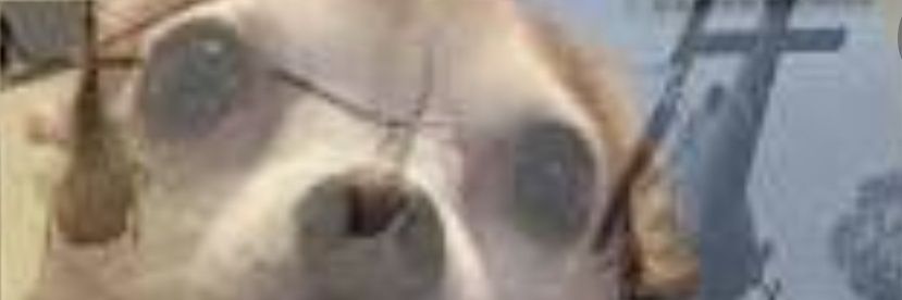 WeirdoWatching's profile banner image