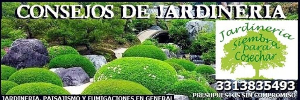 siembraycocecha's profile banner image