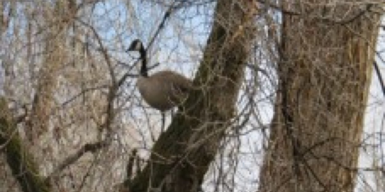 Mattquacker5's profile banner image
