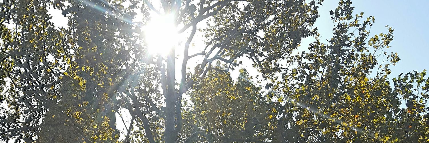 CarrieDHorner's profile banner image