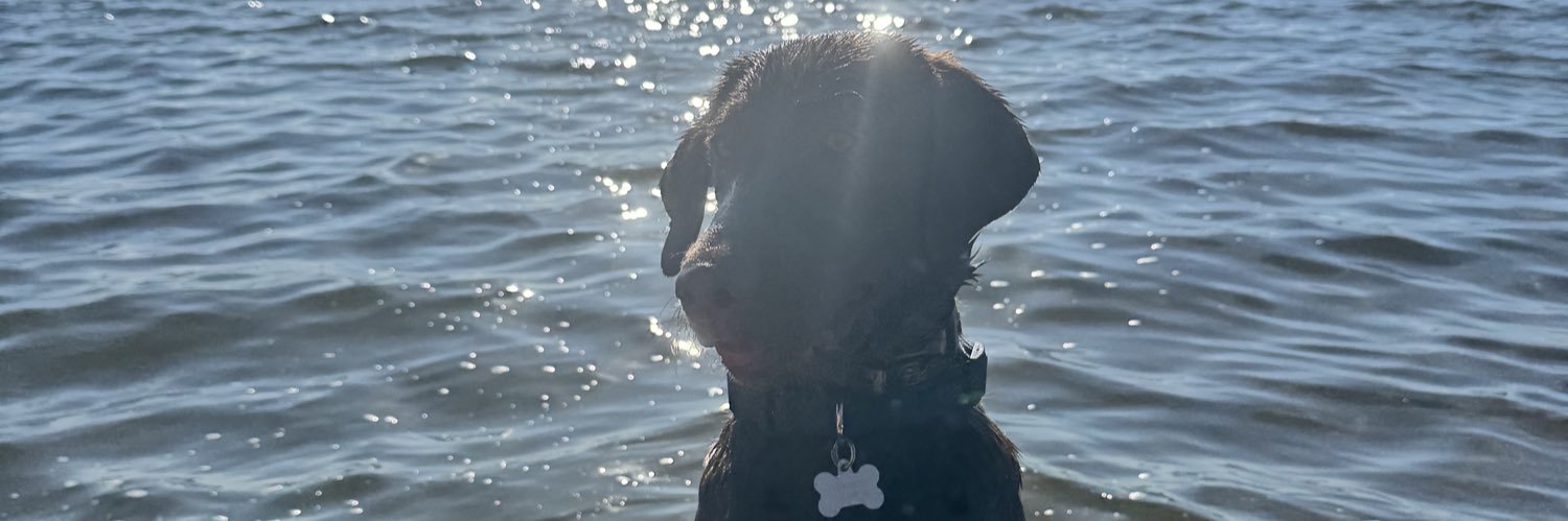 laurese2's profile banner image