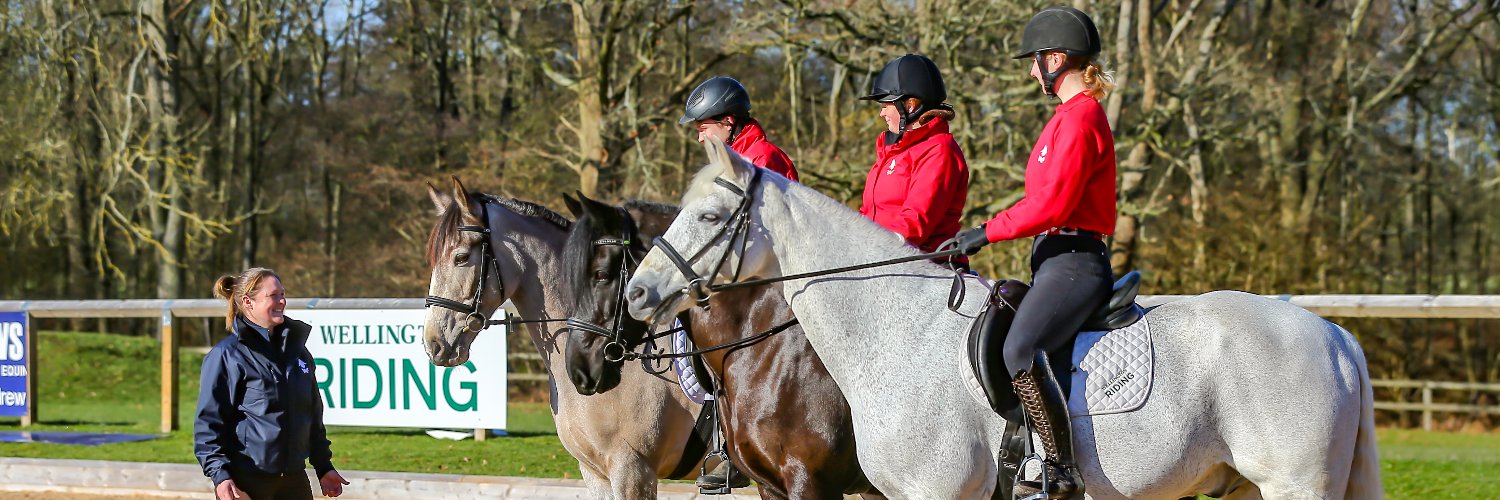 Wellington Riding banner