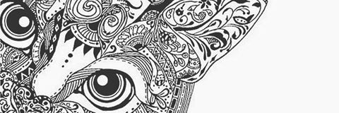 AS_Laya's profile banner image