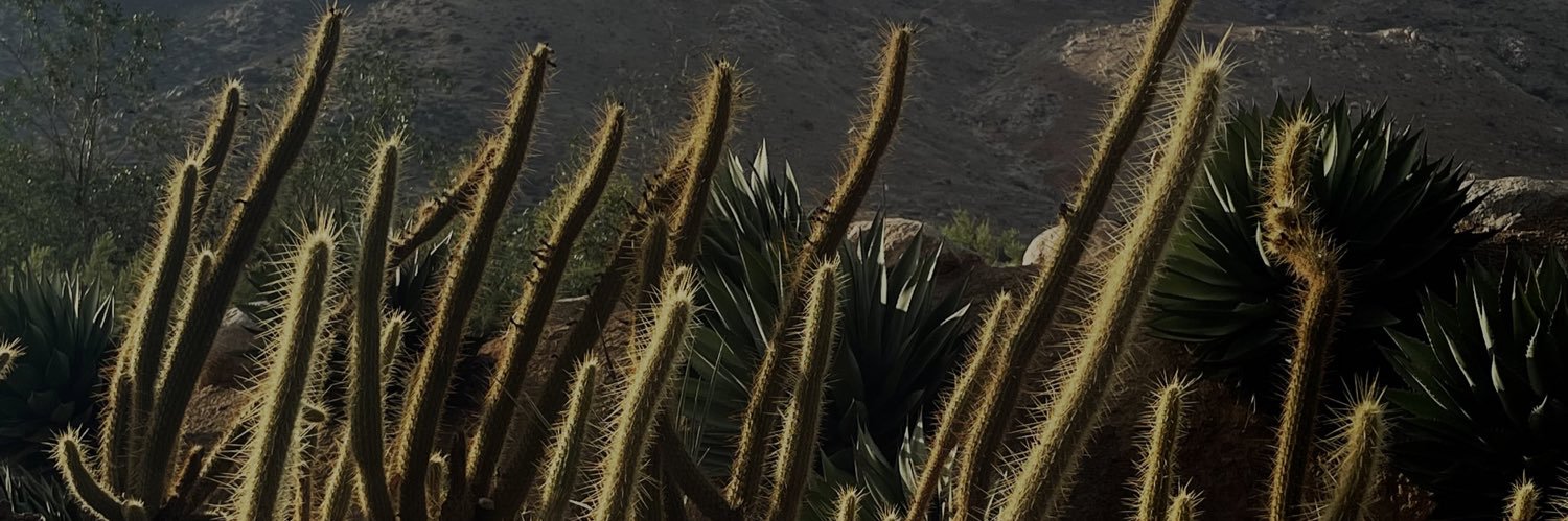 dibarrapitts's profile banner image