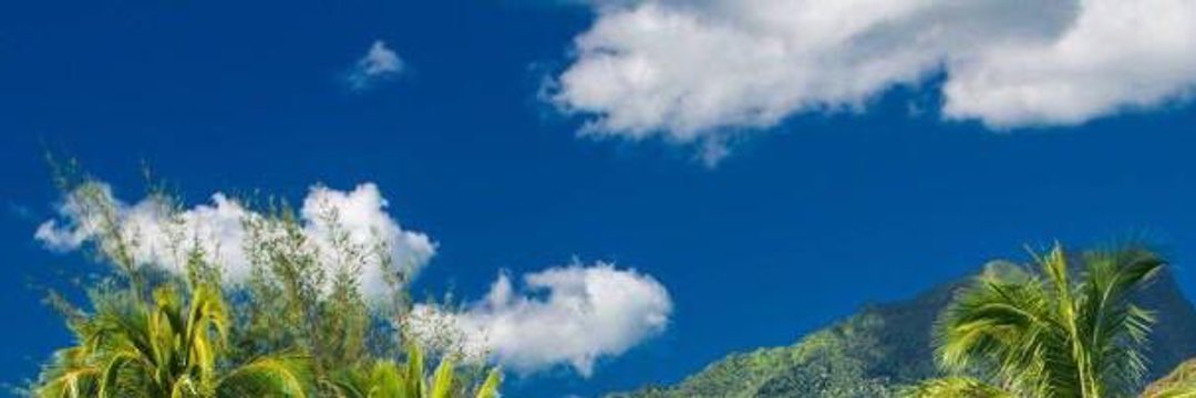 RLekam's profile banner image