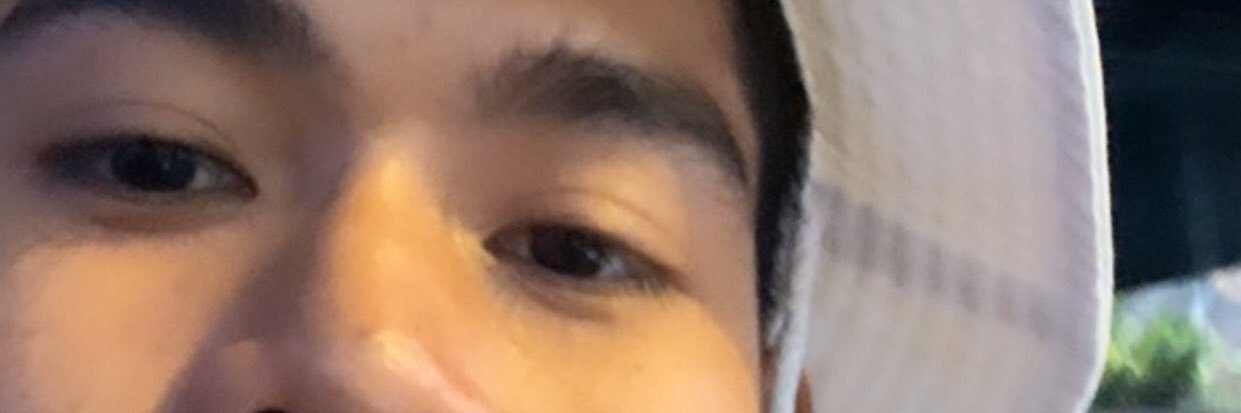 S I R banner