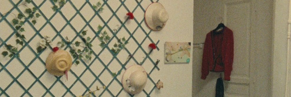 Acompasada🌻 banner