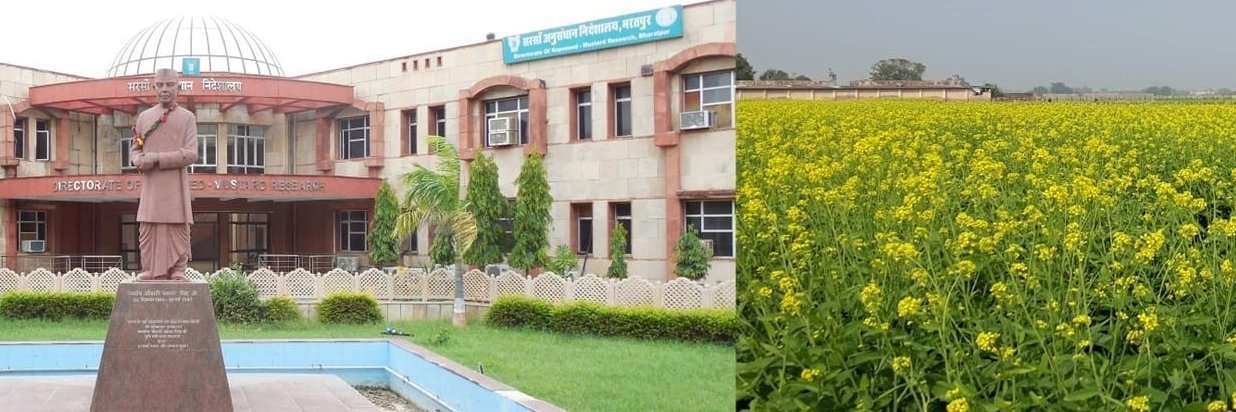 ICAR-IIRMR, Bharatpur banner