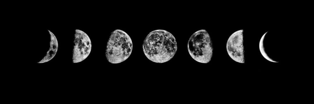Mel_Estep's profile banner image