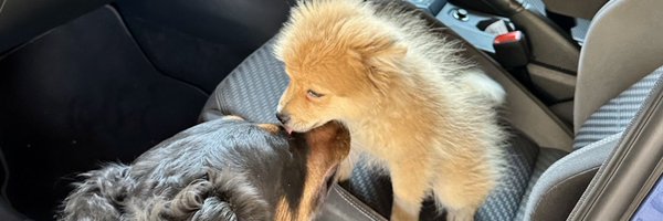 _aboihasnoname Profile Banner