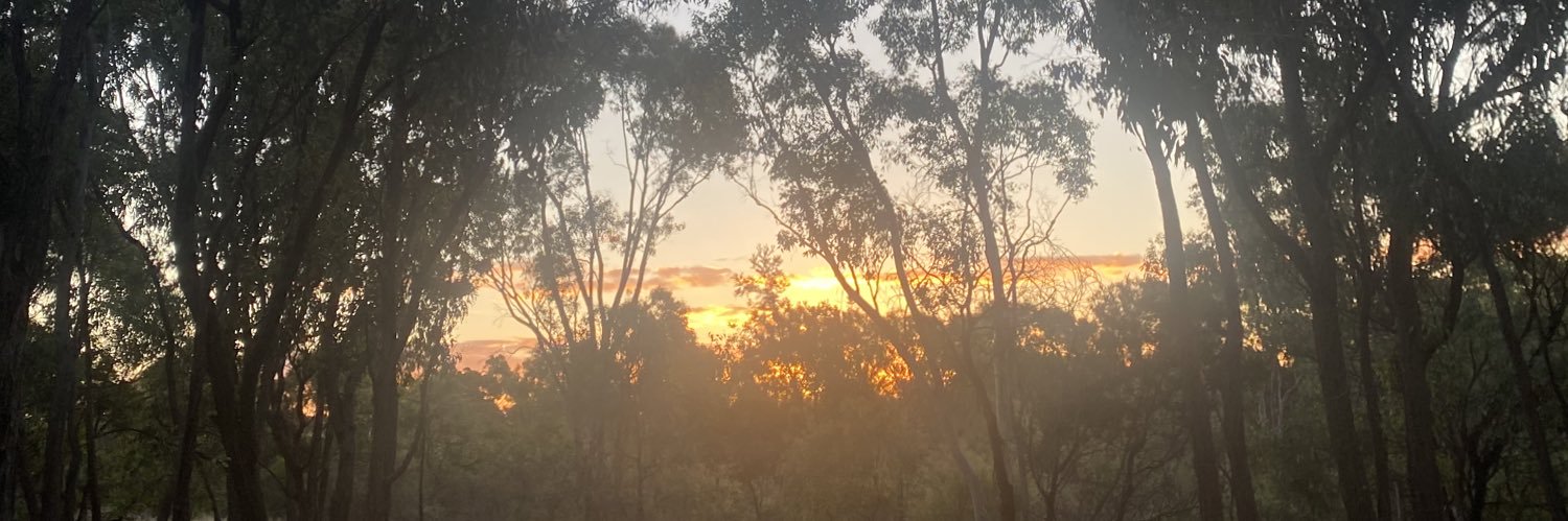 Dr Hugo MacDermott-Opeskin banner