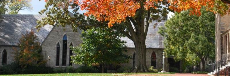 Haverford Libraries banner