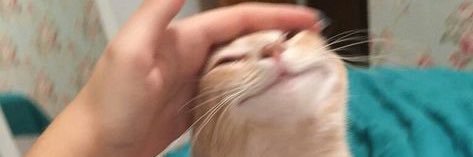 luccccys_'s profile banner image