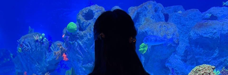 miyinim's profile banner image
