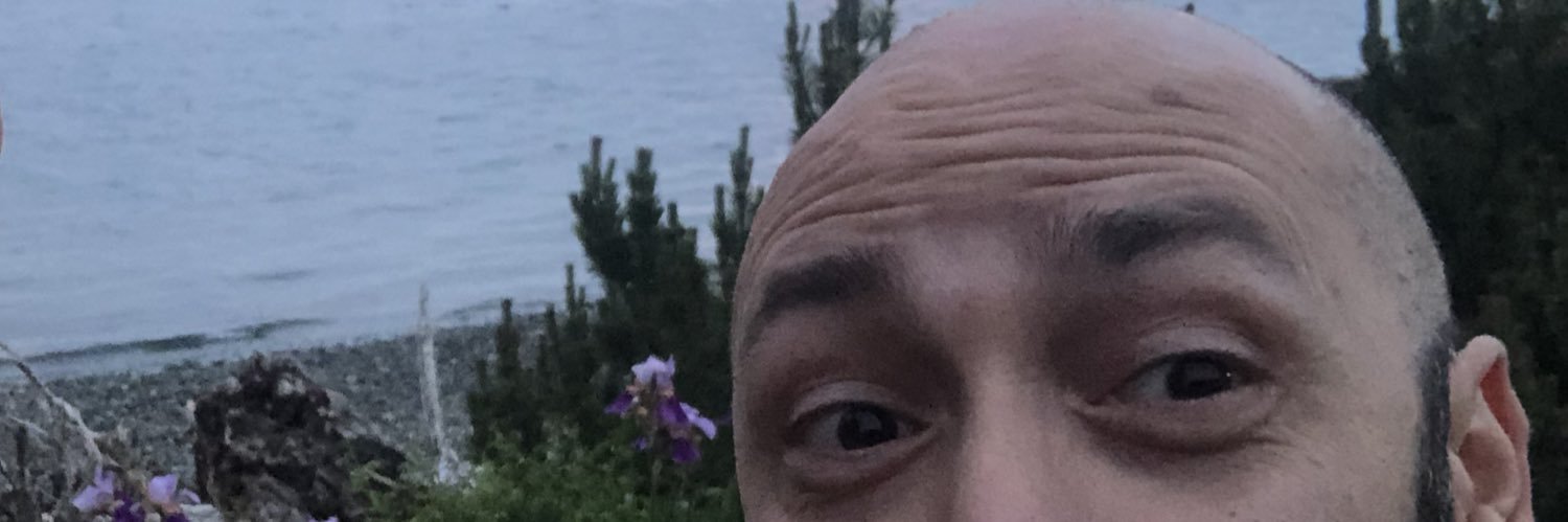 Diego Colombo banner