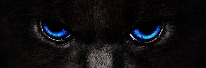 exanblock's profile banner image