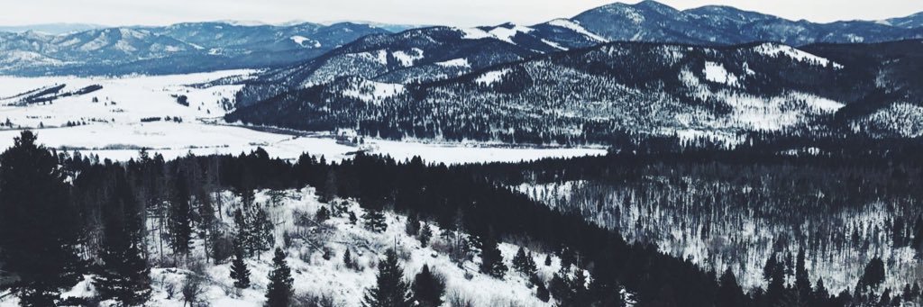 TaliaParand's profile banner image