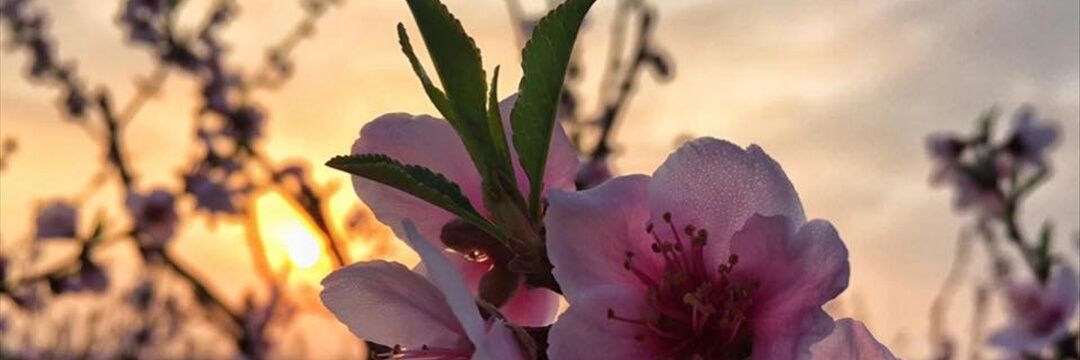 odeliamauda's profile banner image