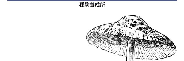 hodahgi Profile Banner