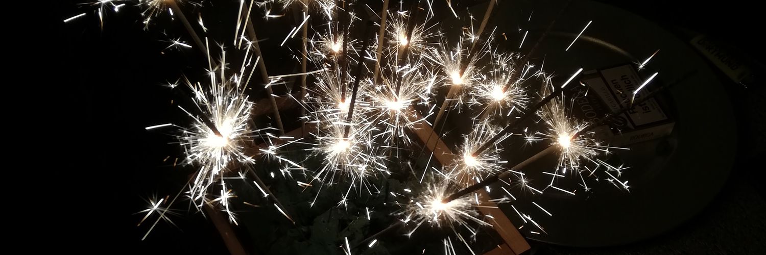 Regina Wallau banner