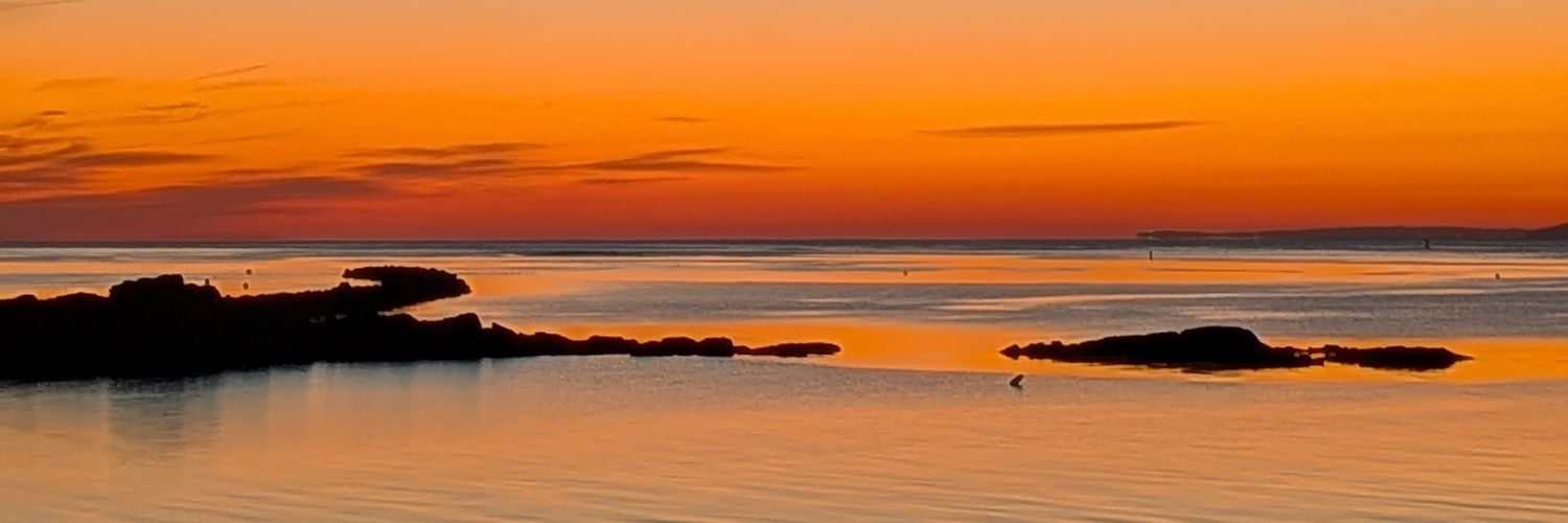 ferr555's profile banner image