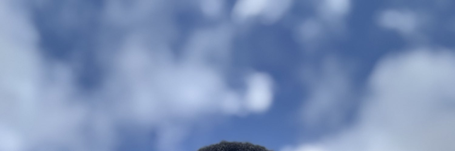 PantherEngaged's profile banner image