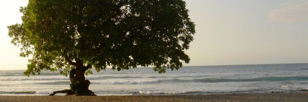 aglass99 Profile Banner