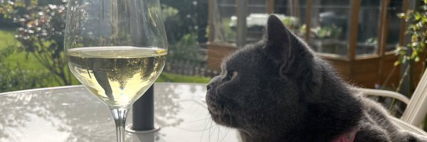 Willow Cat 🐾 Profile Banner