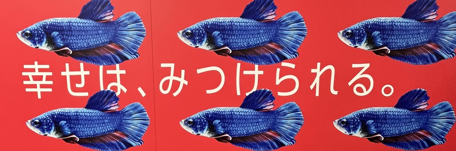 🐢 banner