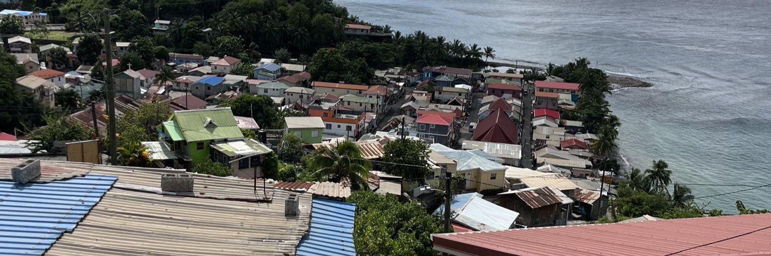 sy ˚ ༘⋆｡˚ || 🏴‍☠️ banner