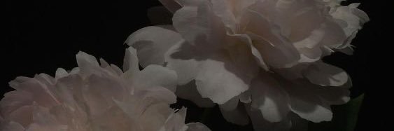 Несмеяна's banner
