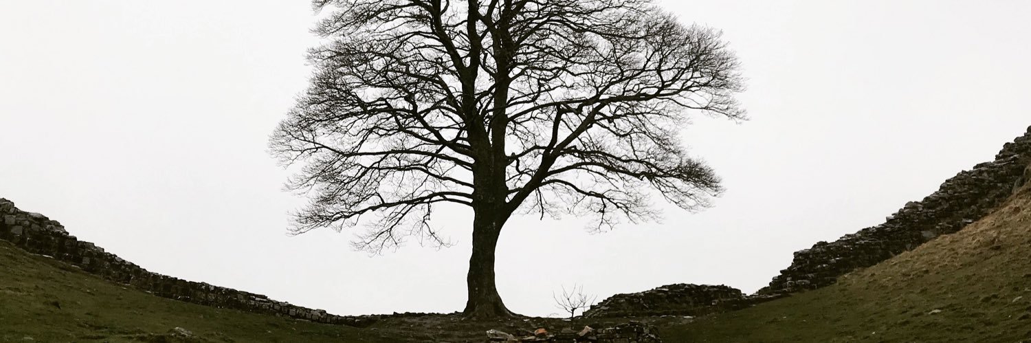 JamieStott's profile banner image