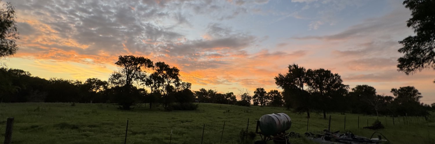 Adonis King 👑 banner