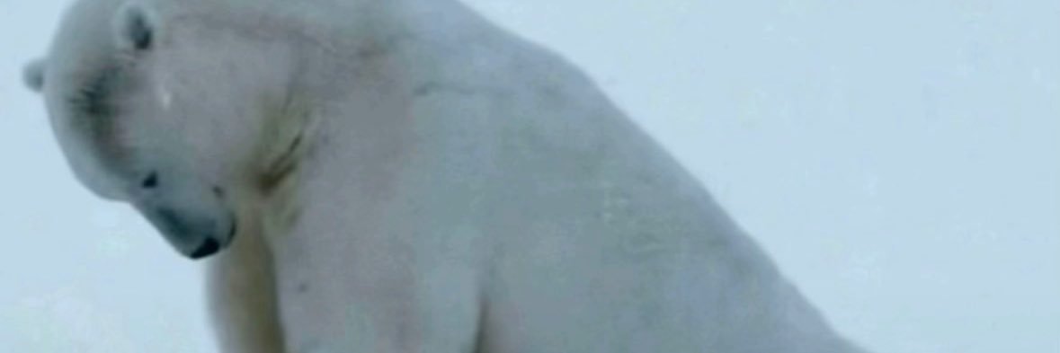 mildor_17's profile banner image