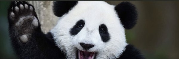 panduh__ Profile Banner
