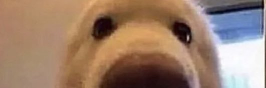 Hydr9s's profile banner image