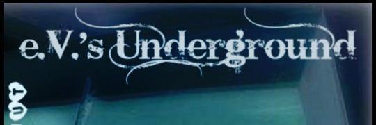 evsunderground's profile banner image