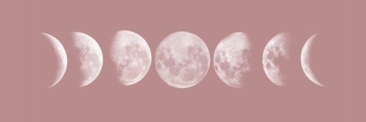 Canndeemedina's profile banner image