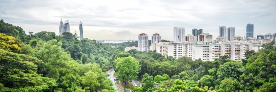 Arq Andrés Pisani banner