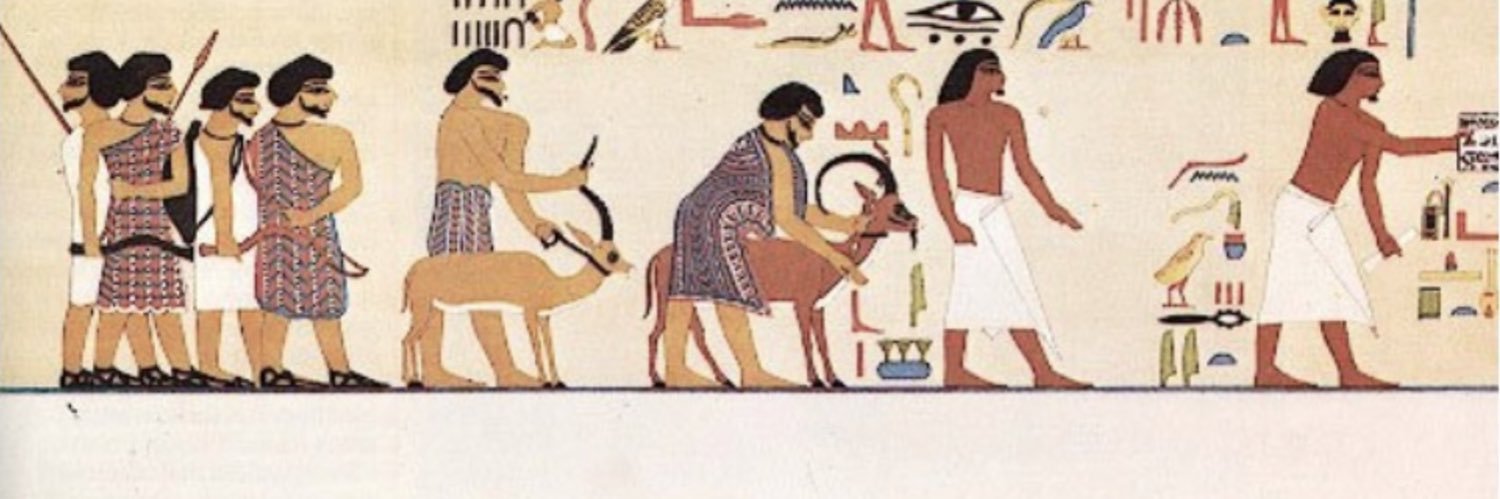 Dr. R Johnson-Taylor. DSc. banner