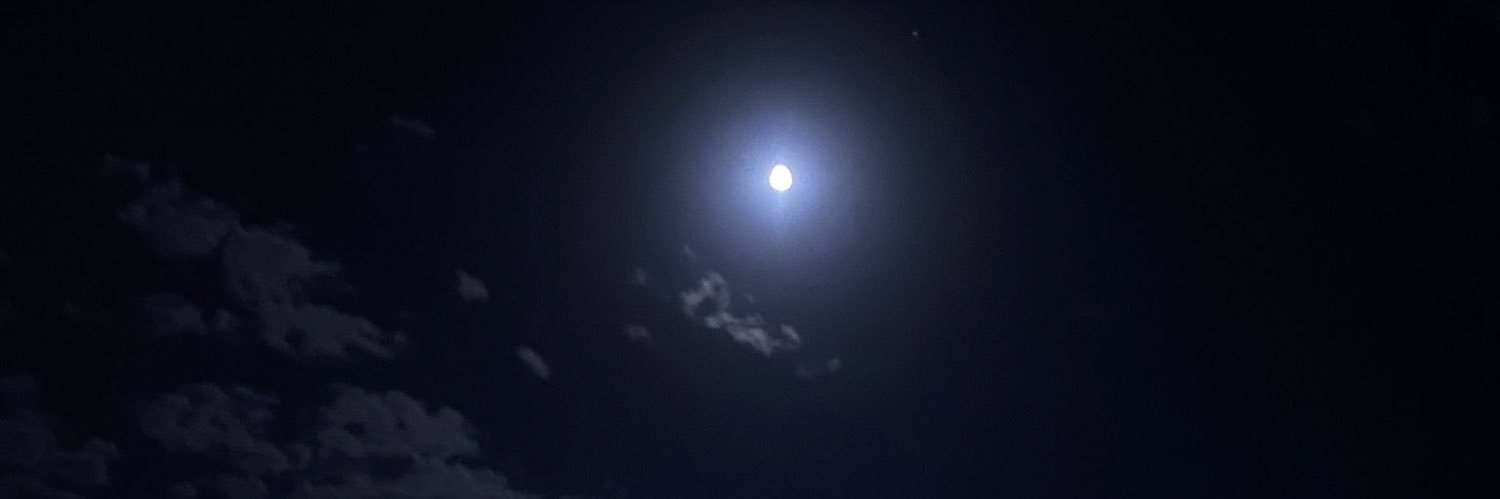 shtha1s's profile banner image