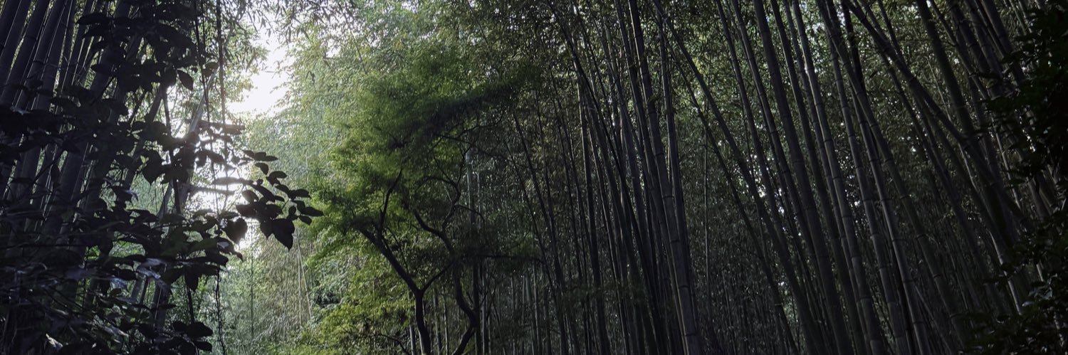 𝙺𝙰𝚁𝙰 ☆ banner