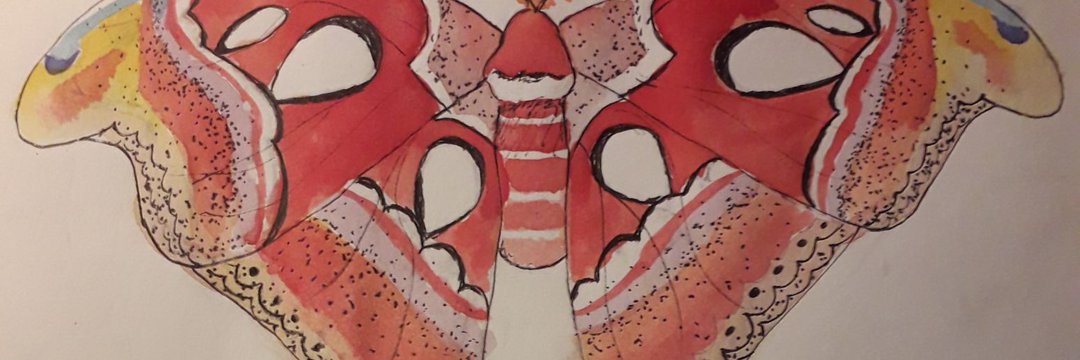 _LaChampi_'s profile banner image