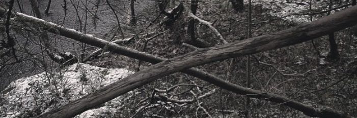 FOKATOT (Godzi) banner